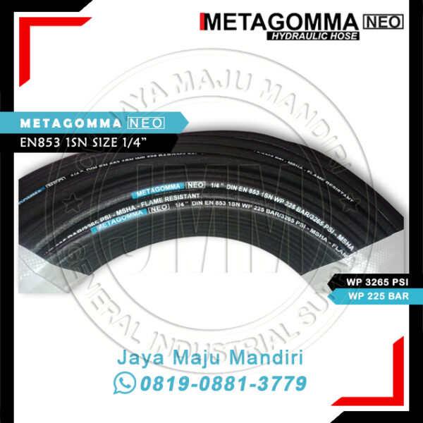 Metagomma 04 R1